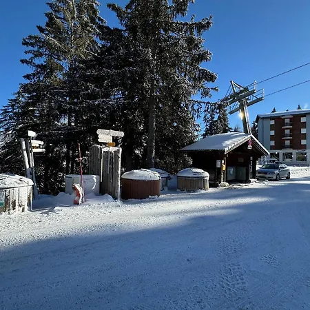 Appartement Ultimate - 4 Valleys - Ski-in Out - Swiss Alps
